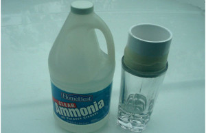 ammonia-cockroaches
