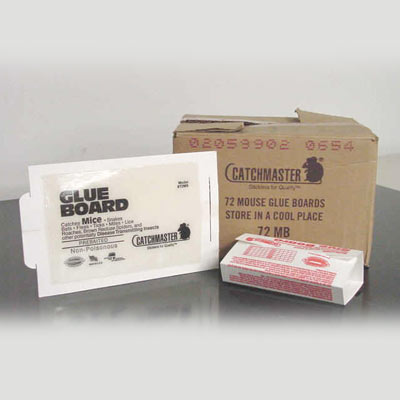 glue_board_big