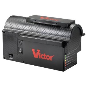 victor
