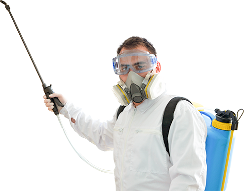 bugexterminator